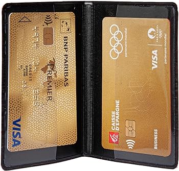 Exacompta - 5105143E - Suport card - Glitter și material patentat - Pentru depozitarea mai multor carduri, carduri de credit sau cantină - 10 cm x 7 cm - Eden Collection - Silk Gold