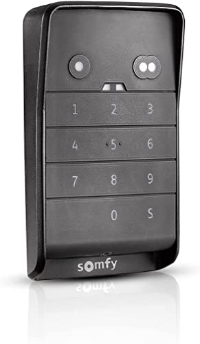 Somfy 1870916 - Buton cod radio RTS 2 butoane | Pentru a deschide un garaj RTS sau un operator de poartă cu un cod